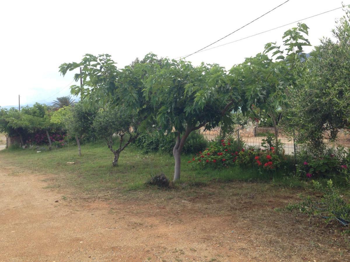 Kioni Villas Frangocastelo ภายนอก รูปภาพ