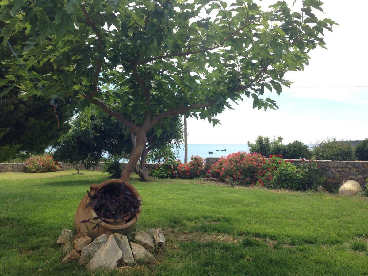 Kioni Villas Frangocastelo ภายนอก รูปภาพ